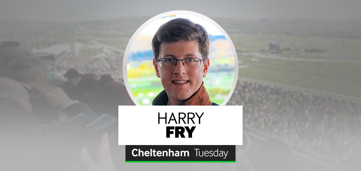 Harry Fry blog: Cheltenham Tuesday and Wednesday runners