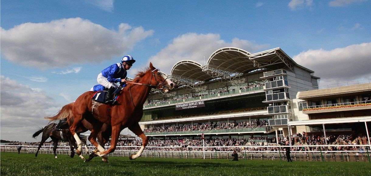 What does SP mean in horse racing?