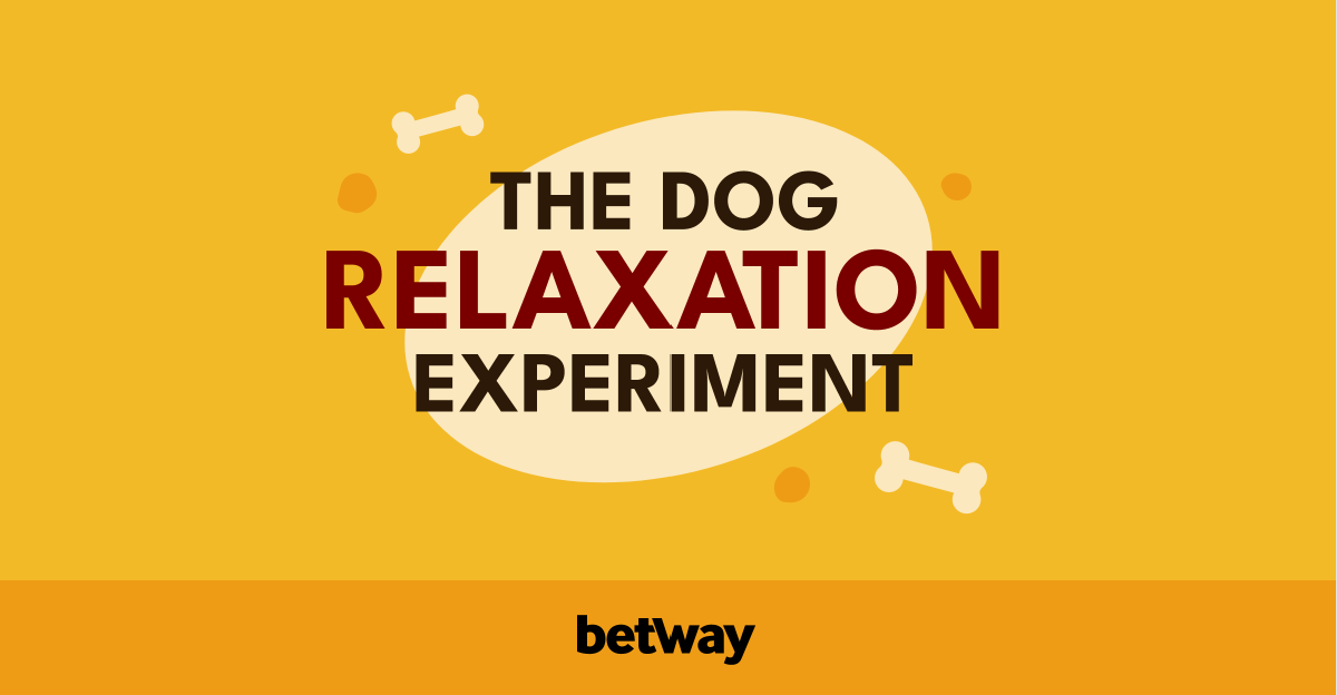 the dog relaxation experiment