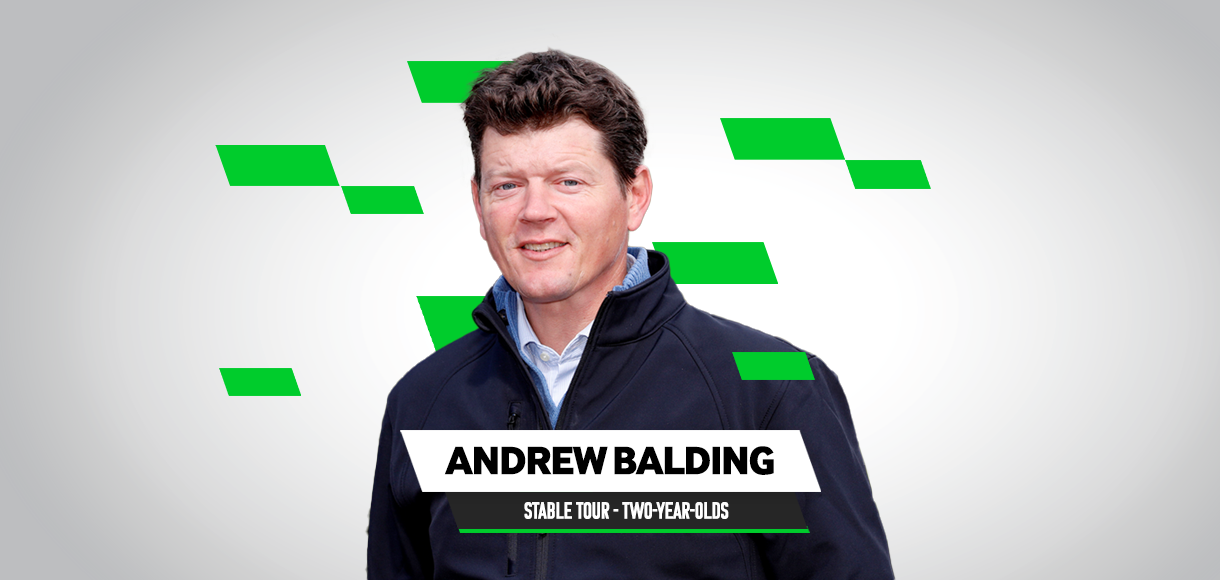 Andrew Balding stable tour 2022: Two-year-olds