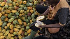 Ghana seeks to borrow $500 million from cocoa traders