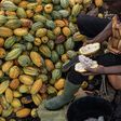 Ghana seeks to borrow $500 million from cocoa traders