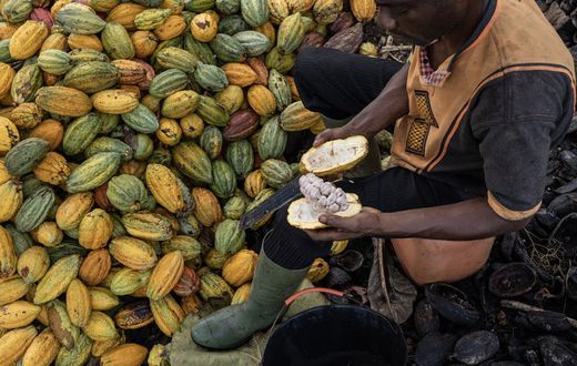 Ghana seeks to borrow $500 million from cocoa traders
