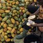 Ghana seeks to borrow $500 million from cocoa traders