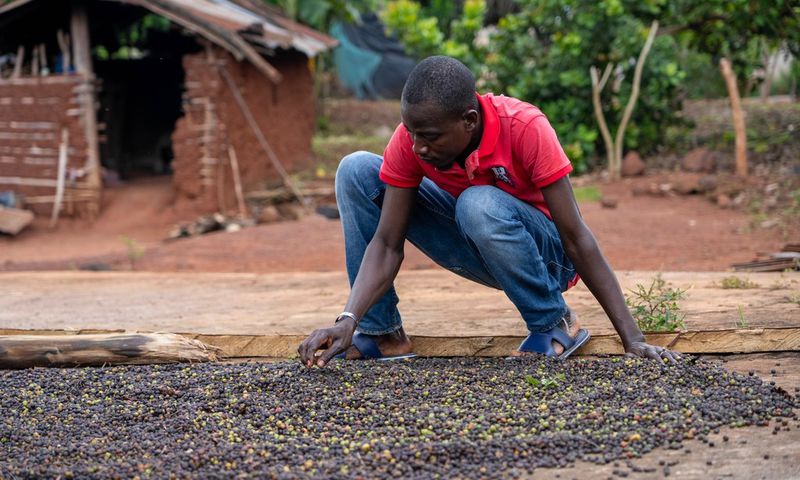 Le Nescafé Plan : Une initiative pour un café durable et un développement communautaire