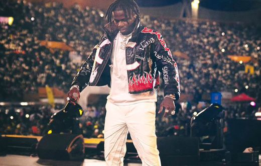 Concert de Didi B au stade FHB : Voici ce que vous avez (peut-être raté)