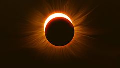 Mesopic vision kicks in the the last 4-5 minutes before a solar eclipse reaches totality, making red objects appear dark and muted while green objects stand out.Matt Anderson Photography / Getty Images