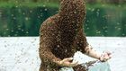This man was completely covered in bees [Kanyidaily]