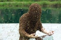 Cet homme était complètement couvert d'abeilles [Kanyidaily]