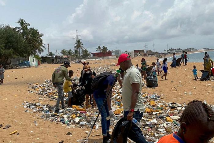 Lutte contre l'insalubrité