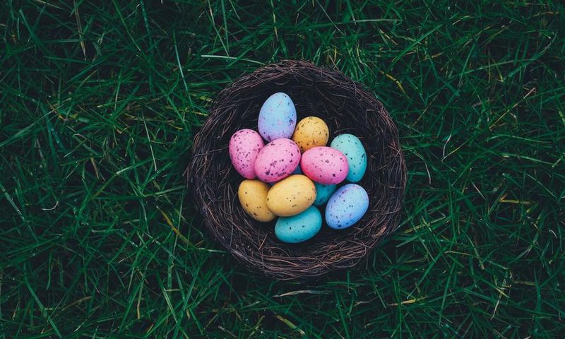 Easter Ffun activities to engage in