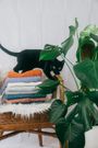Une pile de linge bien rangée/Laura Link