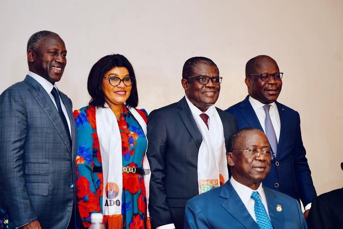 Les nouveaux membres du RHDP