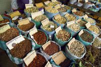 Des espèces de médicaments du Programme national de promotion de la médecine traditionnelle (PNPMT)/APR