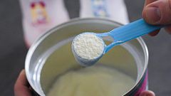 Lait en poudre