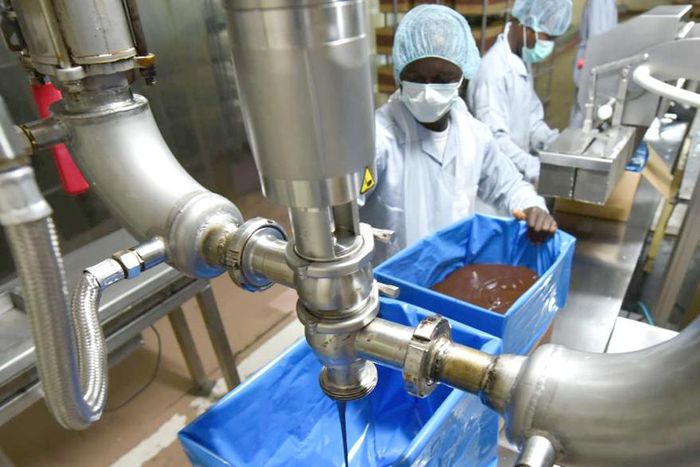 Usine de transformation de cacao en Côte d'Ivoire - CICG-CÔTE D’IVOIRE