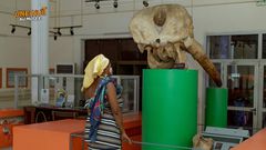 Une nuit au musée : Les ivoiriens ont été autorisés à visiter le musée des civilisations la nuit