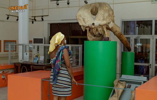 Une nuit au musée : Les ivoiriens ont été autorisés à visiter le musée des civilisations la nuit