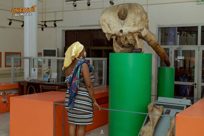Une nuit au musée : Les ivoiriens ont été autorisés à visiter le musée des civilisations la nuit