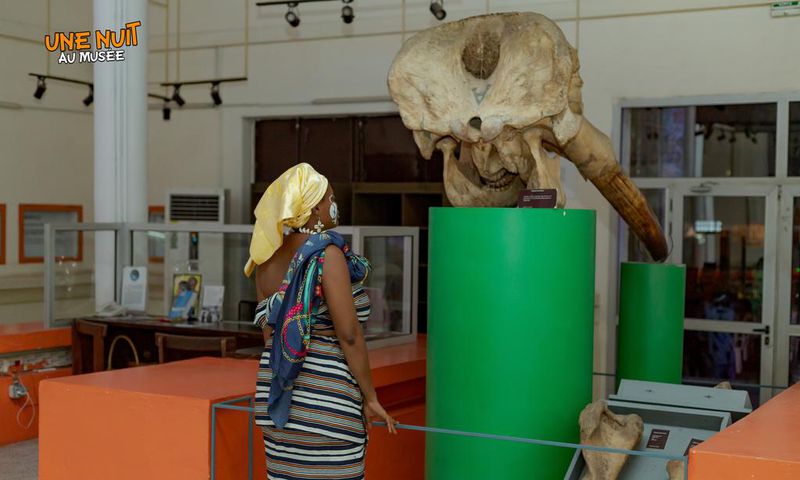 Une nuit au musée : Les ivoiriens ont été autorisés à visiter le musée des civilisations la nuit
