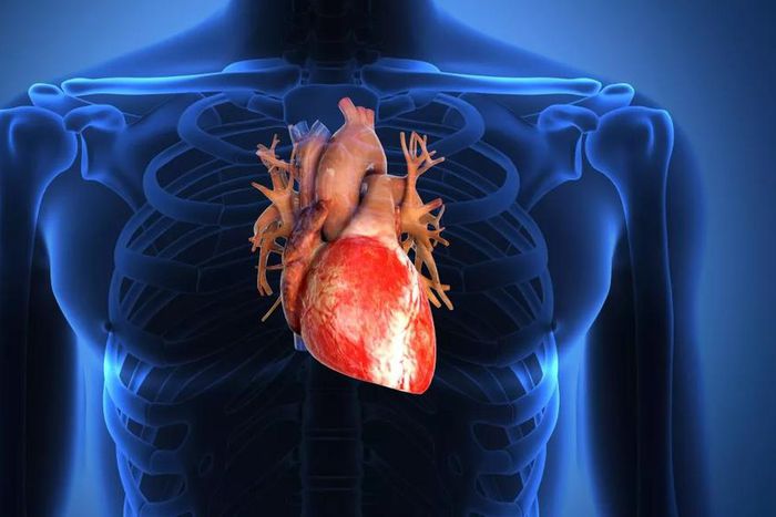 Insuffisance cardiaque