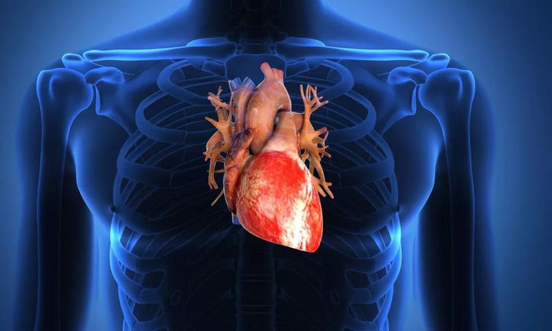 Insuffisance cardiaque
