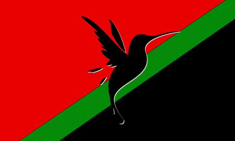 Nouveau drapeau martiniquais