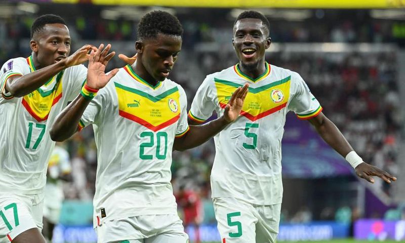 LIONS du Sénégal