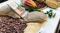 Disparité des prix du cacao : Pourquoi la Côte d'Ivoire est-elle affectée ?