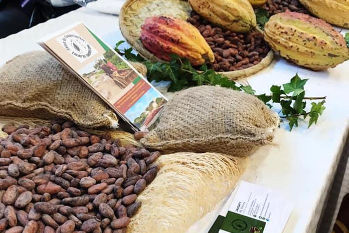 Disparité des prix du cacao : Pourquoi la Côte d'Ivoire est-elle affectée ?