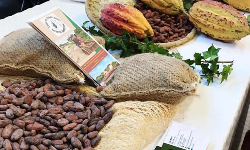 Disparité des prix du cacao : Pourquoi la Côte d'Ivoire est-elle affectée ?