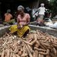 Manioc, also called cassava, is a staple food across West Africa -- the brown root vegetable is peeled, pulped and cooked, providing starchy ballast to a meal