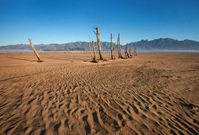 The planet's record-breaking hot weather has caused severe drought in places like here in South Africa.