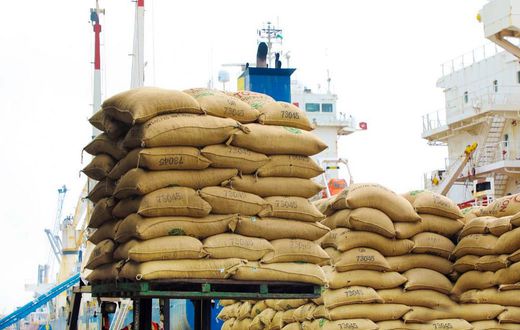 Des sacs de riz