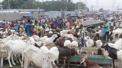 Abattoir d'Abidjan