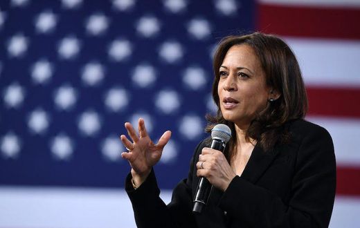 Vice President Kamala Harris is nearly two decades younger than Donald Trump.Ethan Miller / Getty Staff