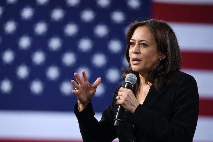 Vice President Kamala Harris is nearly two decades younger than Donald Trump.Ethan Miller / Getty Staff