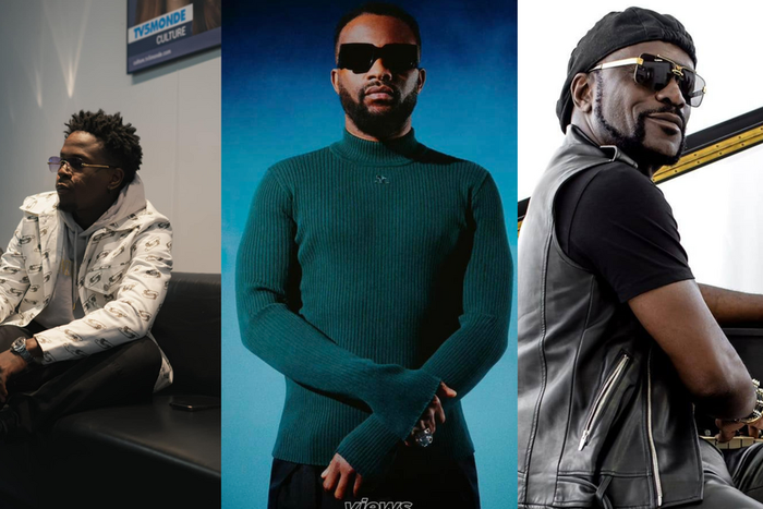 Les artistes africains dont il faut voir absolument le concert