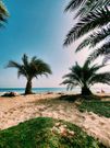 Une plage du Cap-Vert / Victor Svistunov