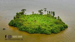l'île e aux serpents à Yopougon