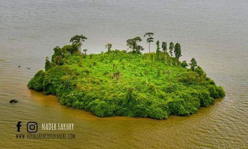 l'île e aux serpents à Yopougon
