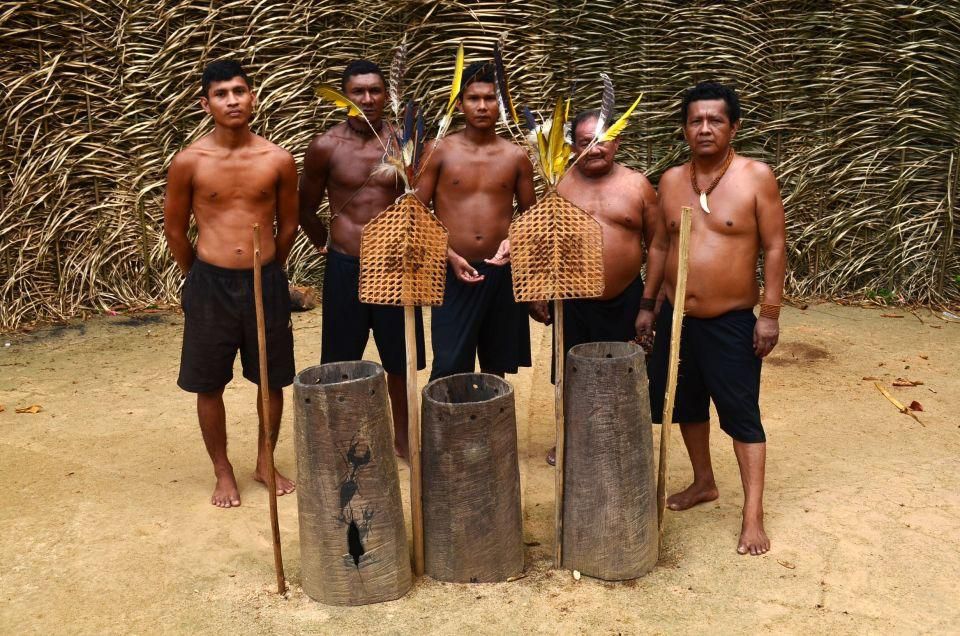 fourmis bullet des Satere-Mawe EN AMAZONIE