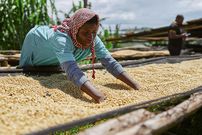 Une femme dans les céréales/UN