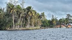 Voici 3 choses à savoir sur les Iles Ehotilés : Un Paradis au cœur de la Lagune Aby