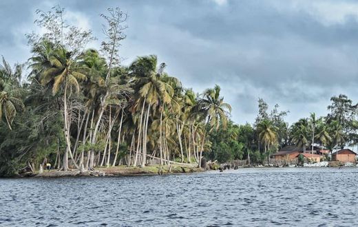 Voici 3 choses à savoir sur les Iles Ehotilés : Un Paradis au cœur de la Lagune Aby