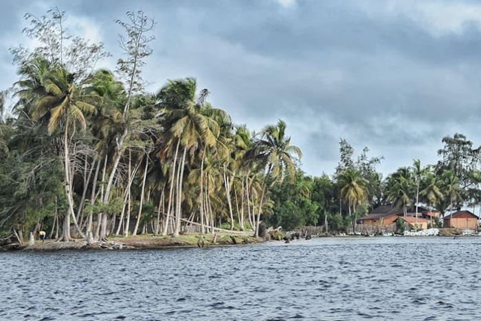 Voici 3 choses à savoir sur les Iles Ehotilés : Un Paradis au cœur de la Lagune Aby