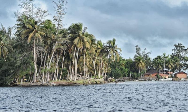Voici 3 choses à savoir sur les Iles Ehotilés : Un Paradis au cœur de la Lagune Aby