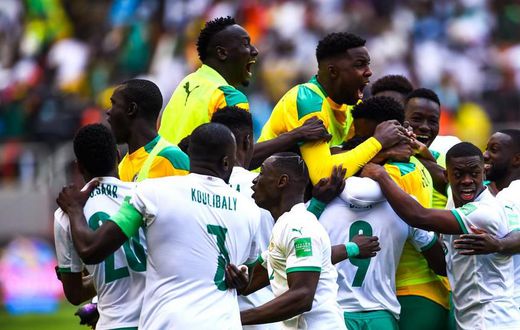 Lions du Sénégal