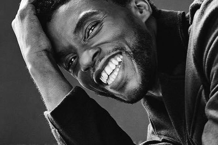 Chadwick Boseman, Black Panther