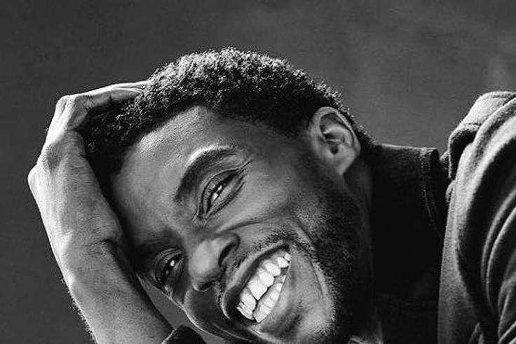 Chadwick Boseman, Black Panther